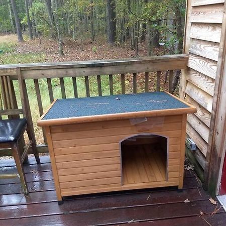 Rustic Quaint Cabin In The Woods--Pets Welcomed Dunnsville ภายนอก รูปภาพ