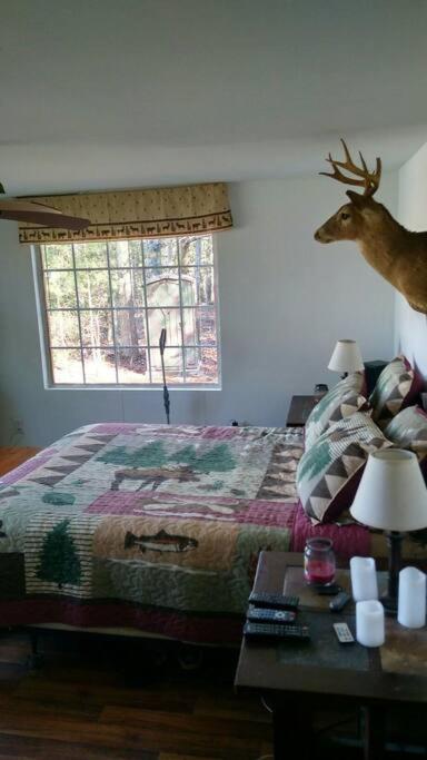 Rustic Quaint Cabin In The Woods--Pets Welcomed Dunnsville ภายนอก รูปภาพ
